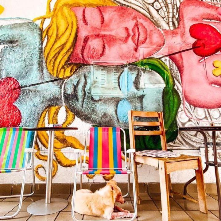 Zili Pernambuco - Hostel Pousada Recife Esterno foto