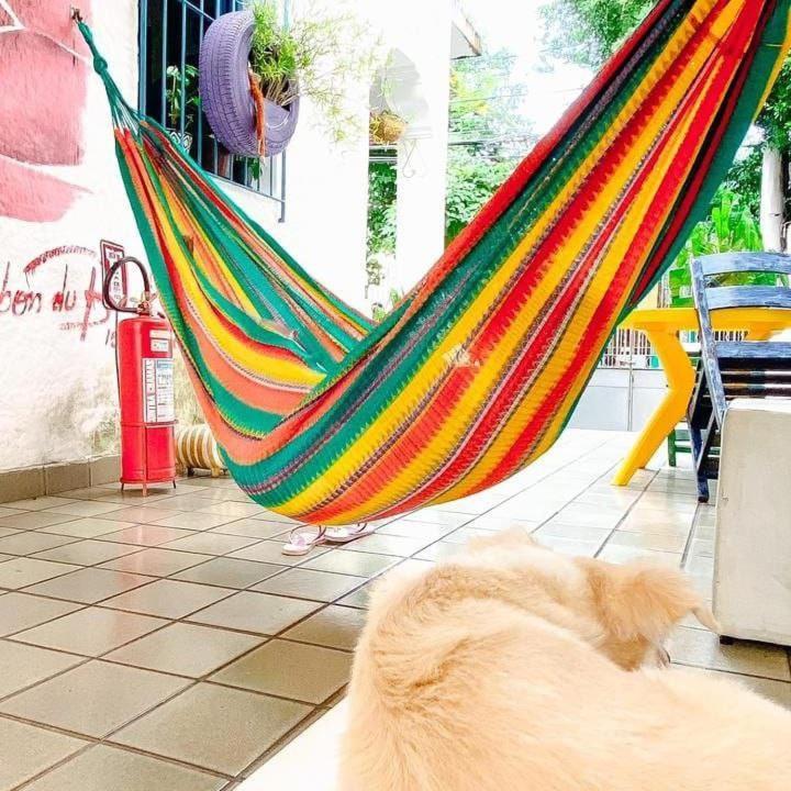 Zili Pernambuco - Hostel Pousada Recife Esterno foto